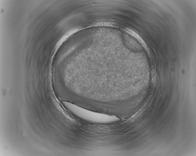 X0000085271043200704092135