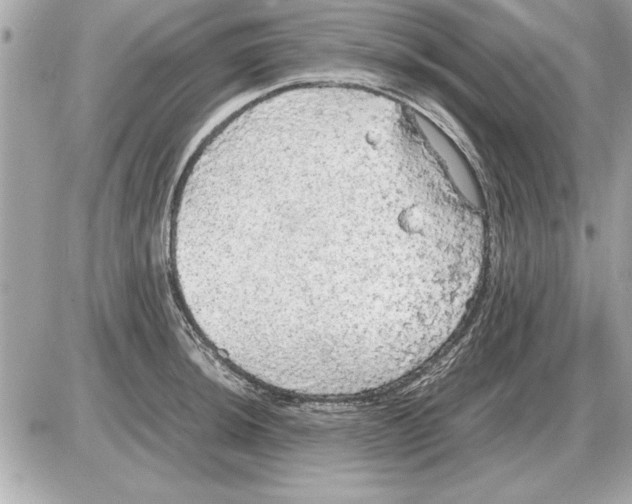 X0000085271044200704092135