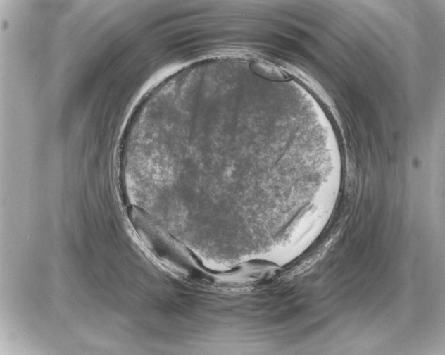 X0000085271045200704092135