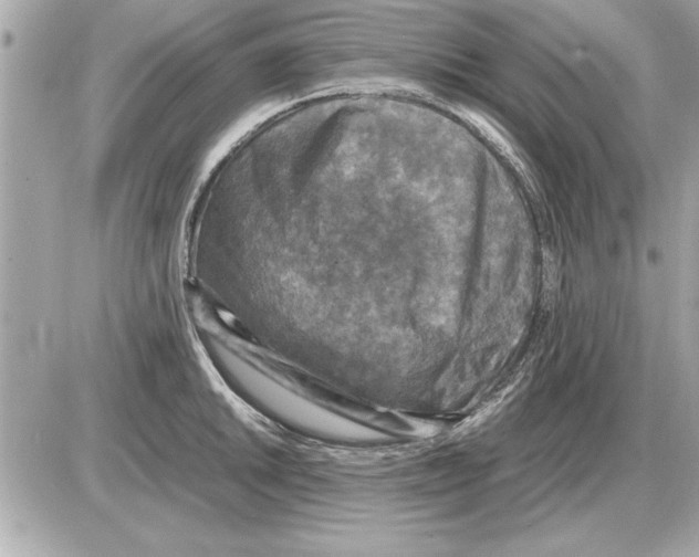 X0000085271046200704092135