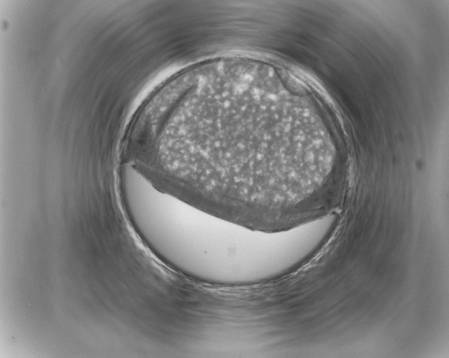 X0000085271048200704092135