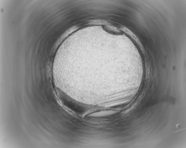 X0000085271049200704092135