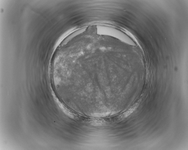 X0000085271050200704092135