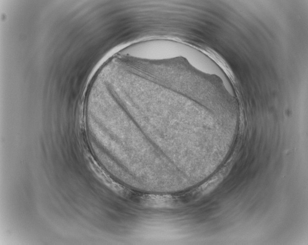 X0000085271052200704092135