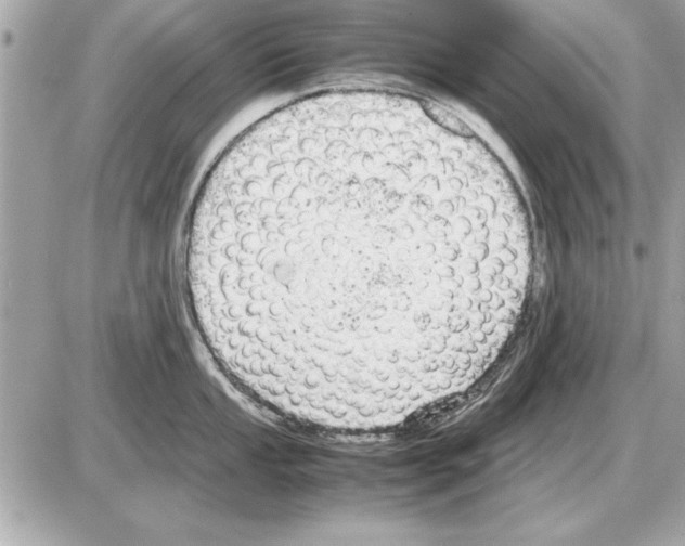 X0000085271053200704092135