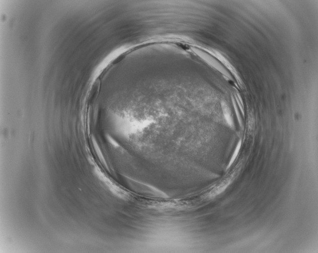 X0000085271054200704092135