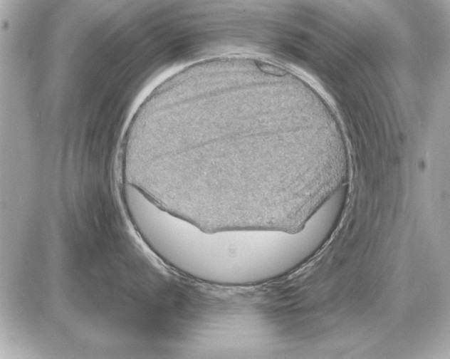 X0000085271056200704092135