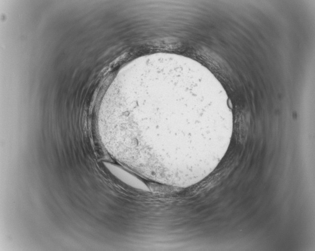 X0000085271058200704092134