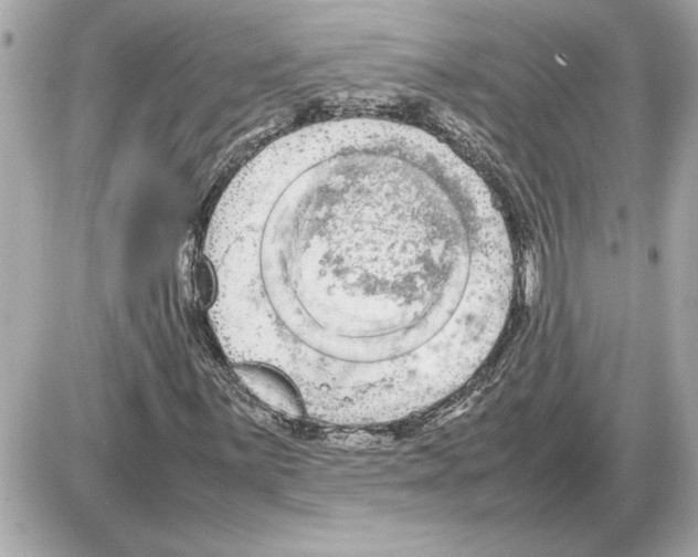 X0000085271059200704092134