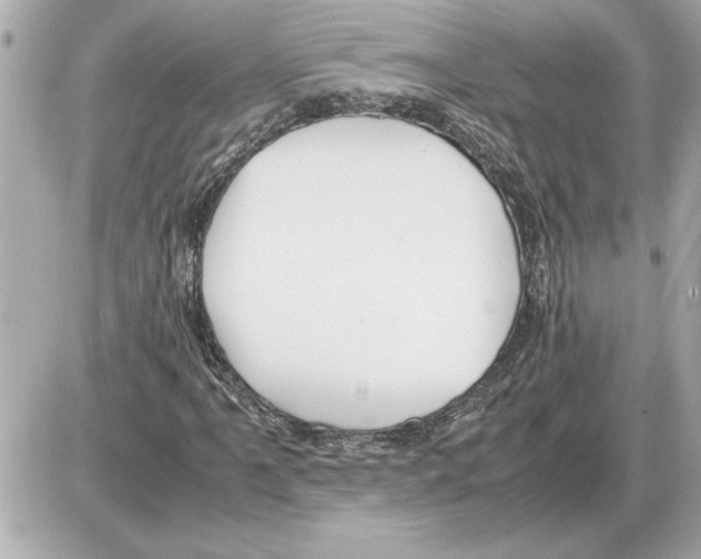 X0000085271061200704092134