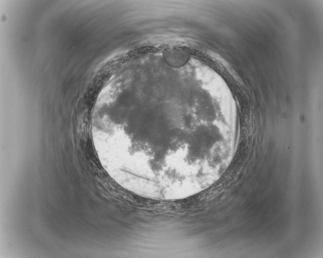 X0000085271063200704092134