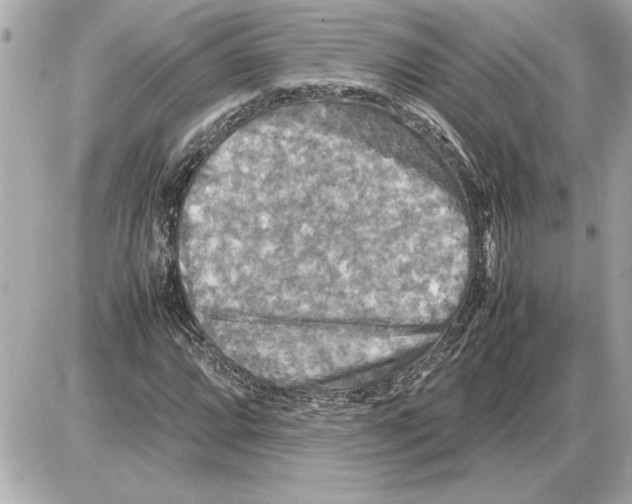 X0000085271064200704092134