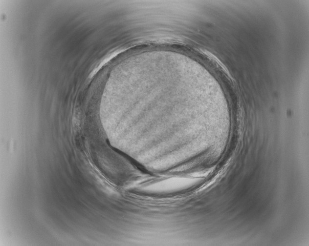 X0000085271065200704092134