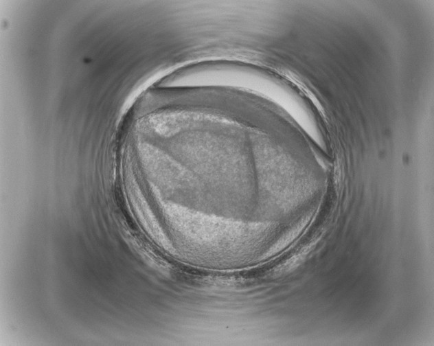 X0000085271069200704092134