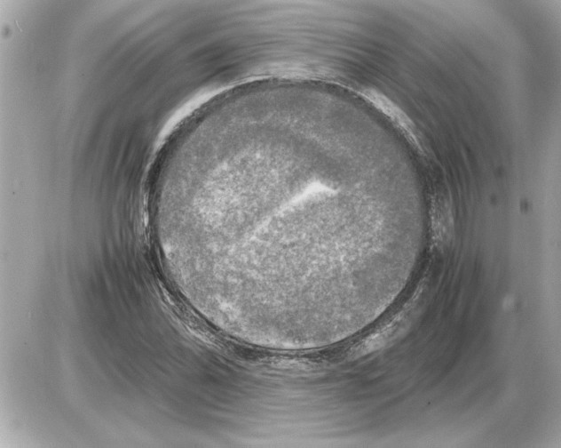 X0000085271070200704092134