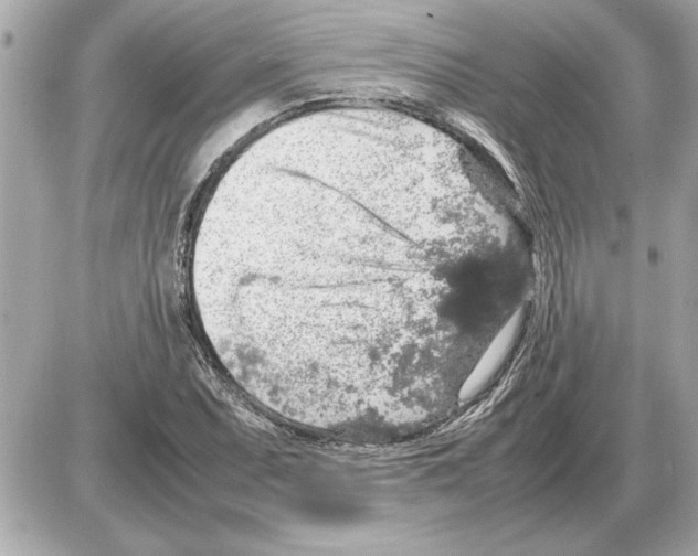 X0000085271071200704092134