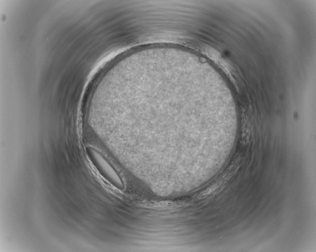 X0000085271072200704092134