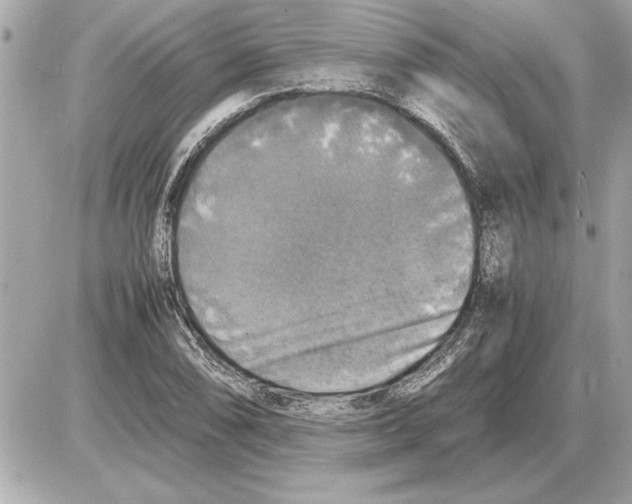 X0000085271074200704092134