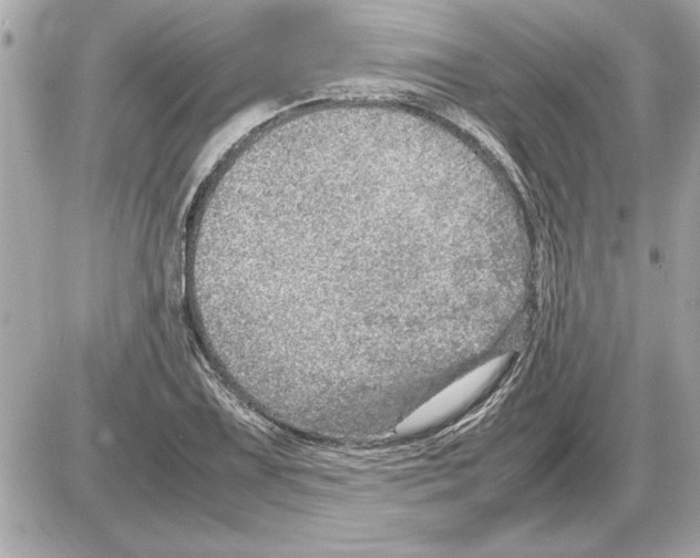 X0000085271075200704092134