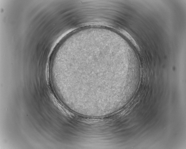 X0000085271076200704092134