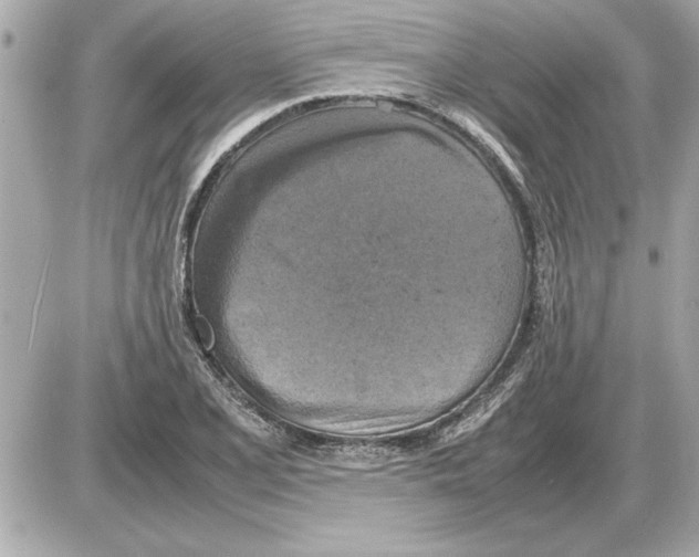 X0000085271077200704092134