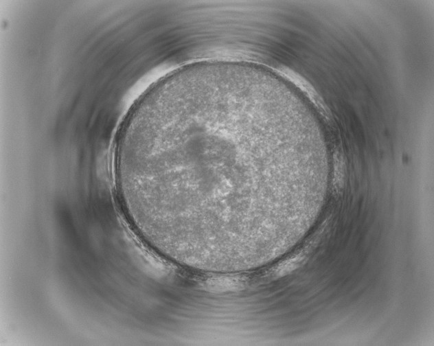 X0000085271078200704092134