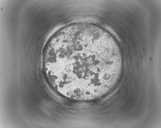 X0000085271079200704092134