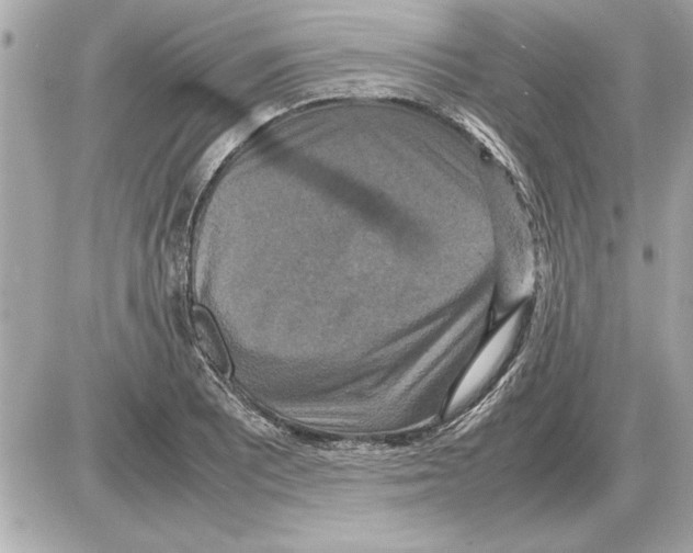 X0000085271081200704092134