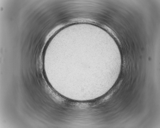 X0000085271082200704092134