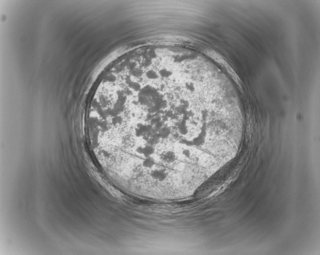 X0000085271083200704092134