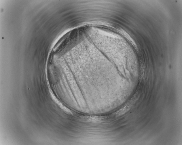 X0000085271084200704092134