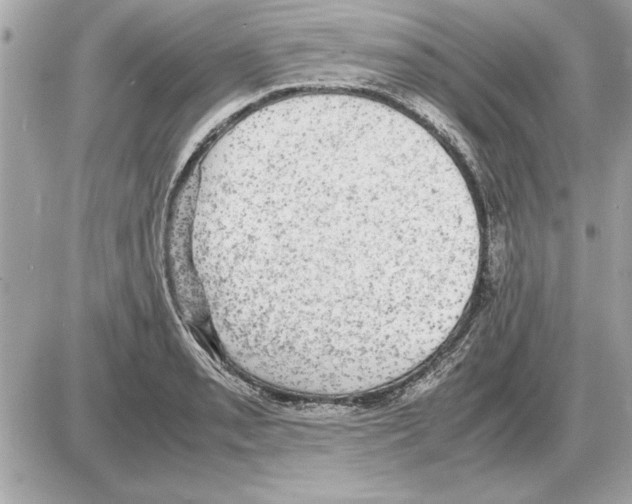 X0000085271085200704092134