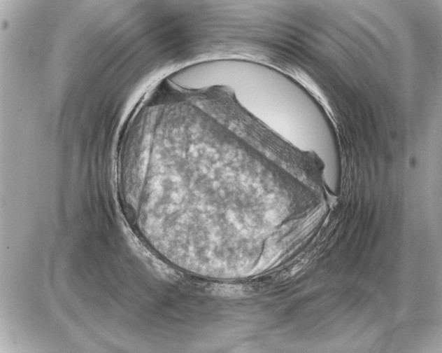 X0000085271088200704092134