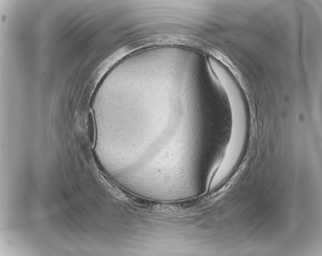 X0000085271089200704092134