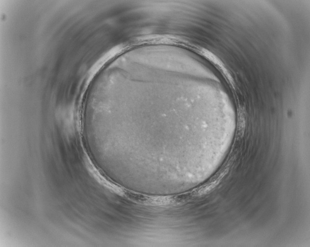 X0000085271090200704092134