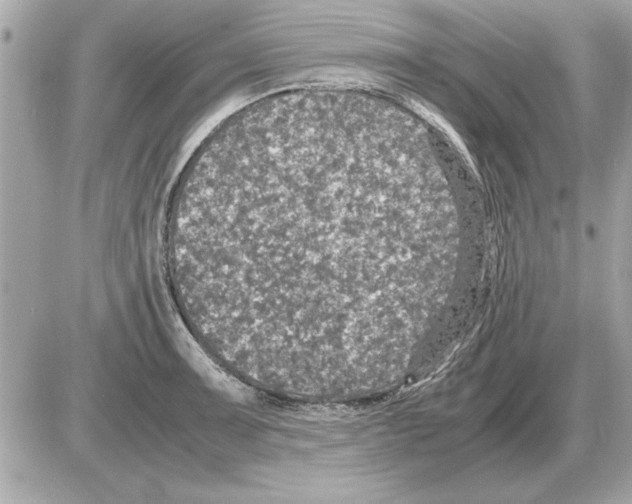 X0000085271091200704092134