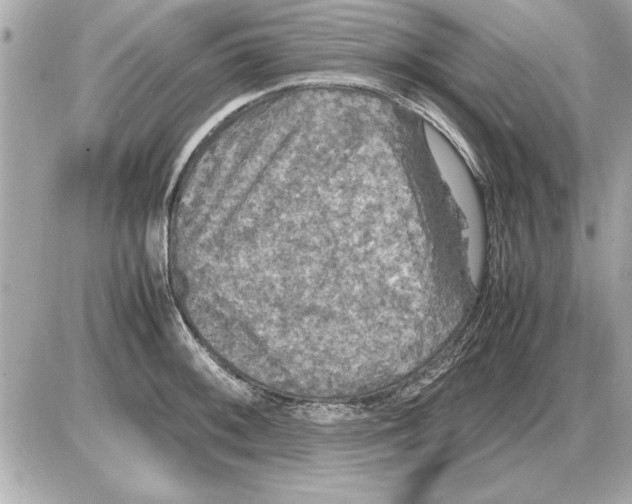 X0000085271092200704092134