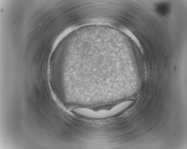 X0000085271096200704092134