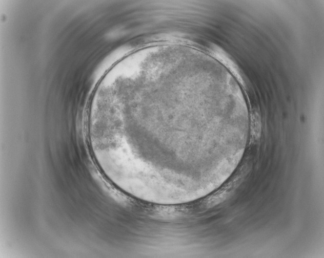 X0000085271098200704092134