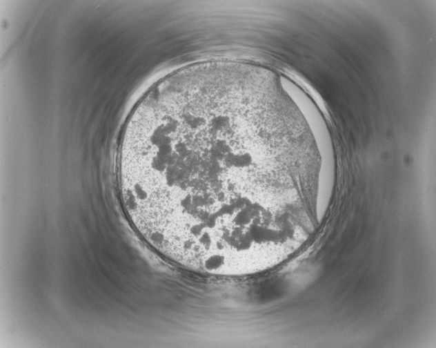 X0000085271099200704092134