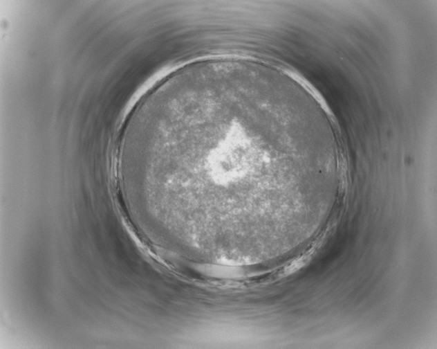 X0000085271101200704092133