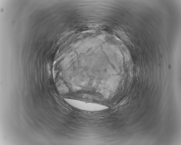 X0000085271106200704092133