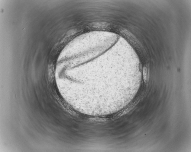 X0000085271107200704092133