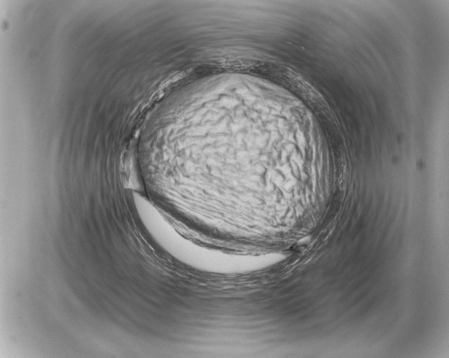 X0000085271108200704092133