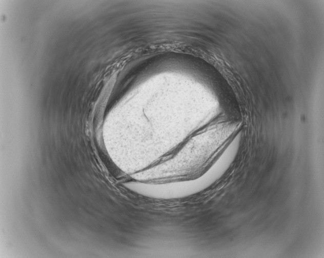 X0000085271109200704092133