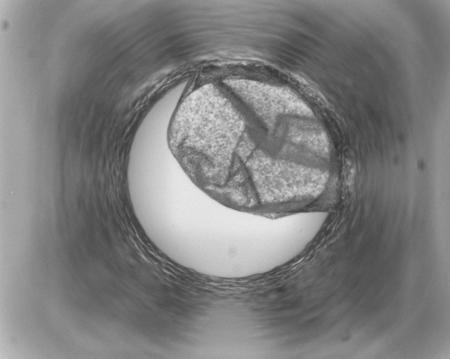 X0000085271110200704092133