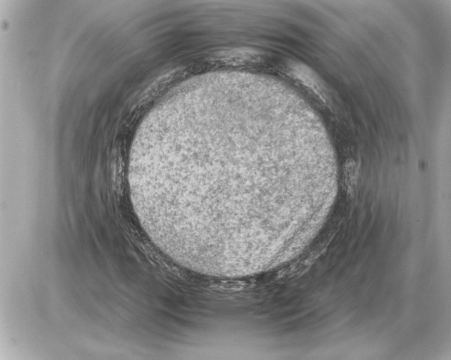 X0000085271111200704092133