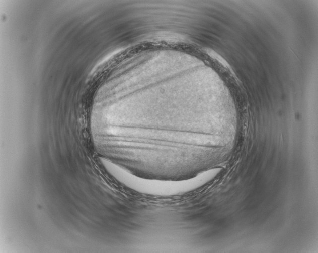 X0000085271112200704092133