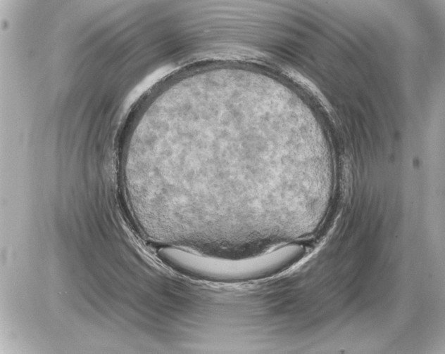 X0000085271114200704092133