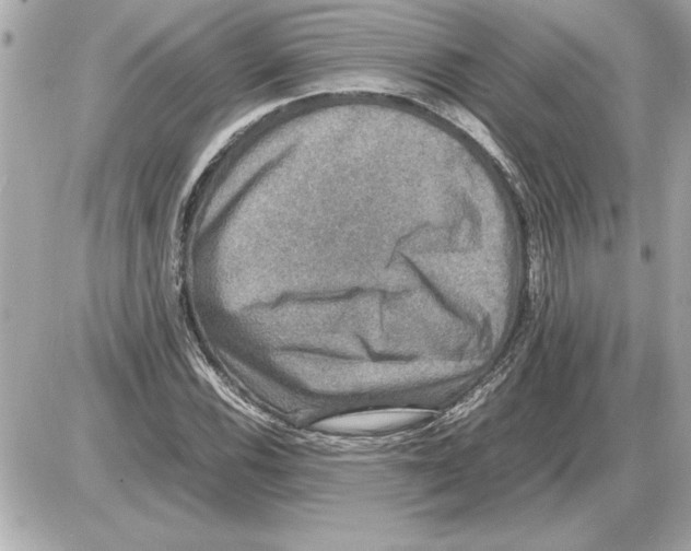 X0000085271116200704092133